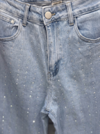 VAQUERO CON DETALLES BRILLANTES